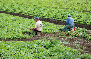 Consiglio regionale dice "no a lavori a rischio in ore calde"